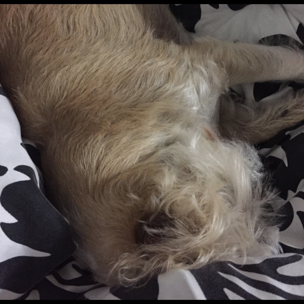 Meet your Posher, Kelly