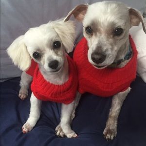 Meet your Posher, Annie