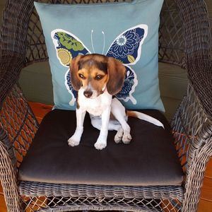 Meet your Posher, Mike