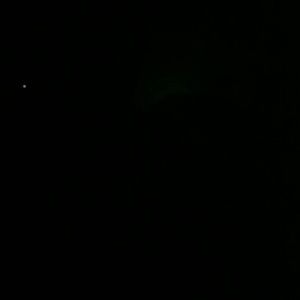 Meet your Posher, Meisha