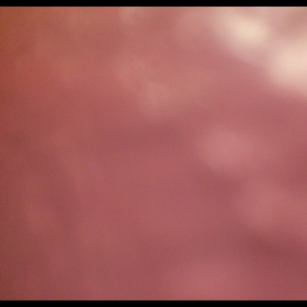 Meet your Posher, Ronie