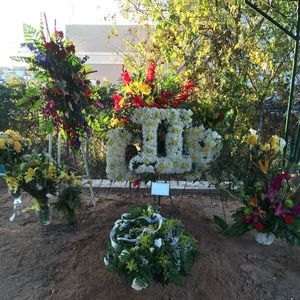 Meet your Posher, Larry