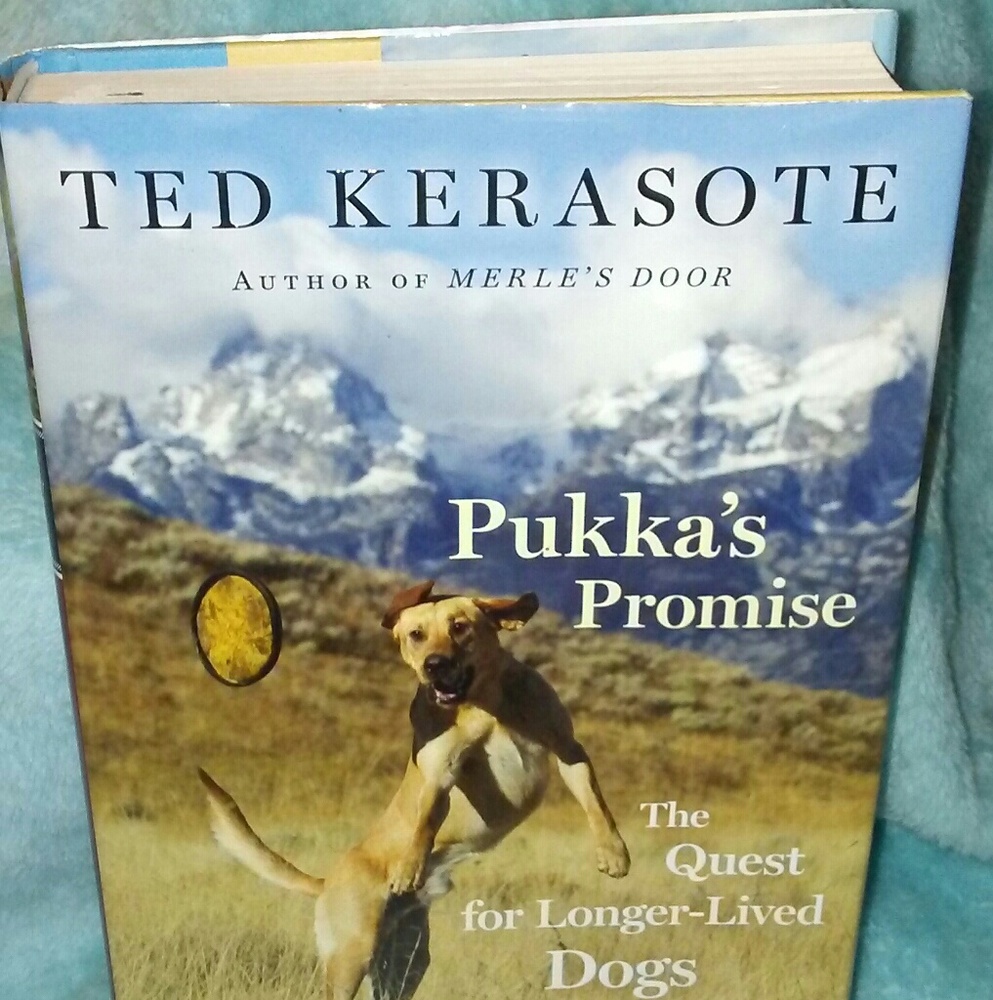 Great Read! Pukka's promise