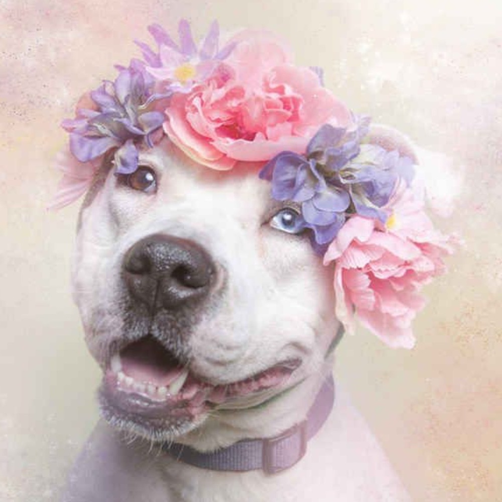🌼Style Crush Theme / My Posh Party!🌼 March 20 @7 - Picture 6 of 8
