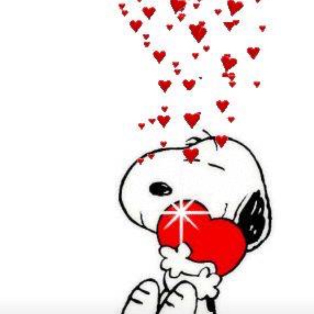 HaPpY VaLeNtInEs DaY POSHERS ❤❤❤💕💕💕🌹🌹🌹