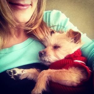 Meet your Posher, Lauren