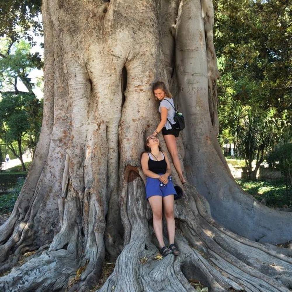 Meet your Posher, Wallie