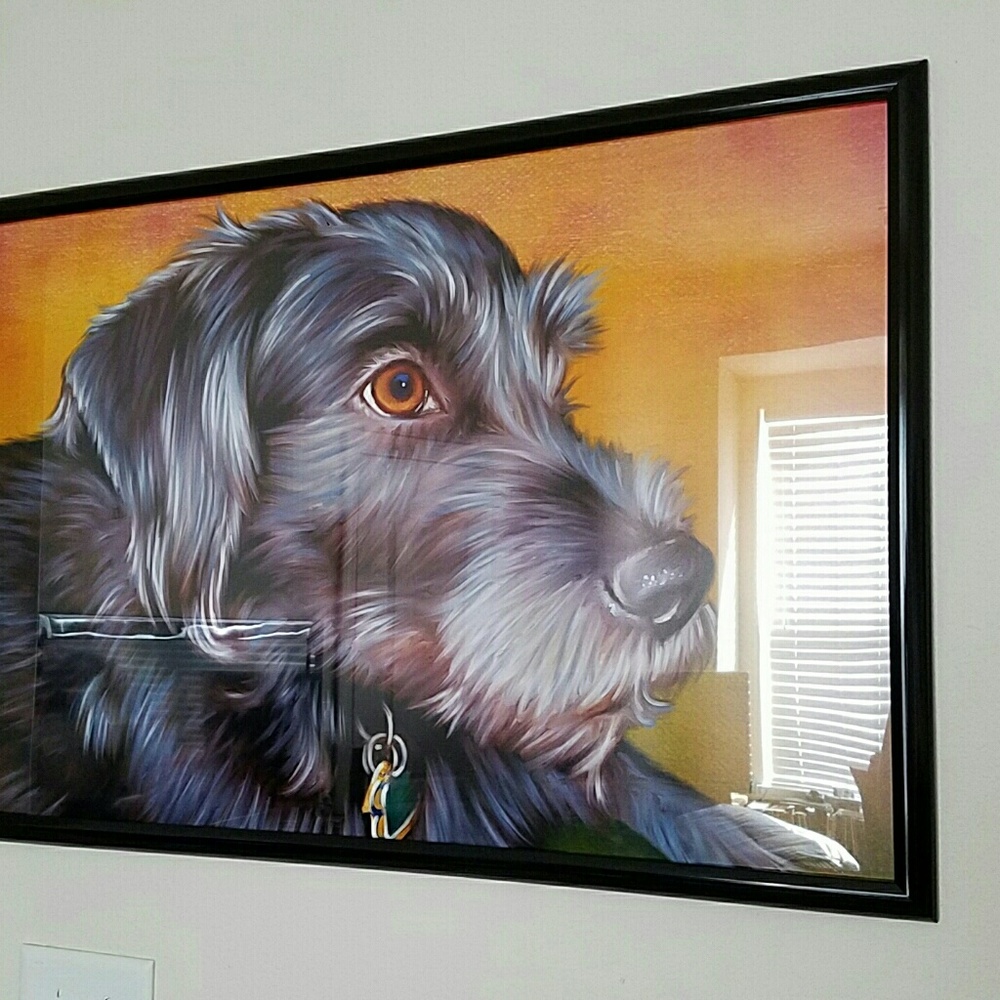 Meet your Posher, Hollie