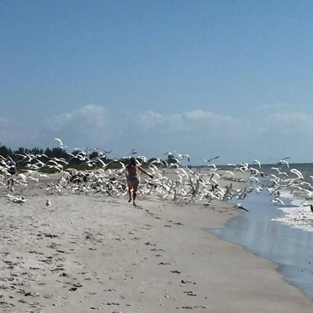 Meet your Posher, Kaylee