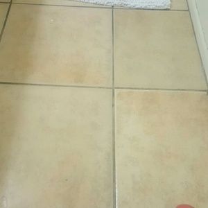 Meet your Posher, Liz