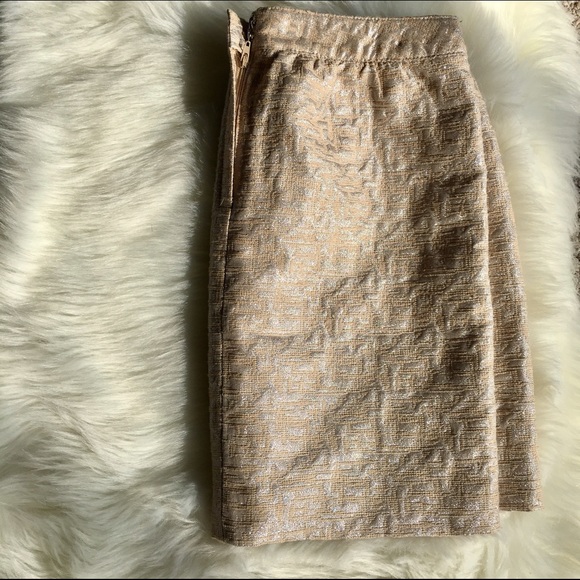 Gorgeous LOFT Silver/Gold Tan Mini Skirt - SZ: 4P - Picture 5 of 8