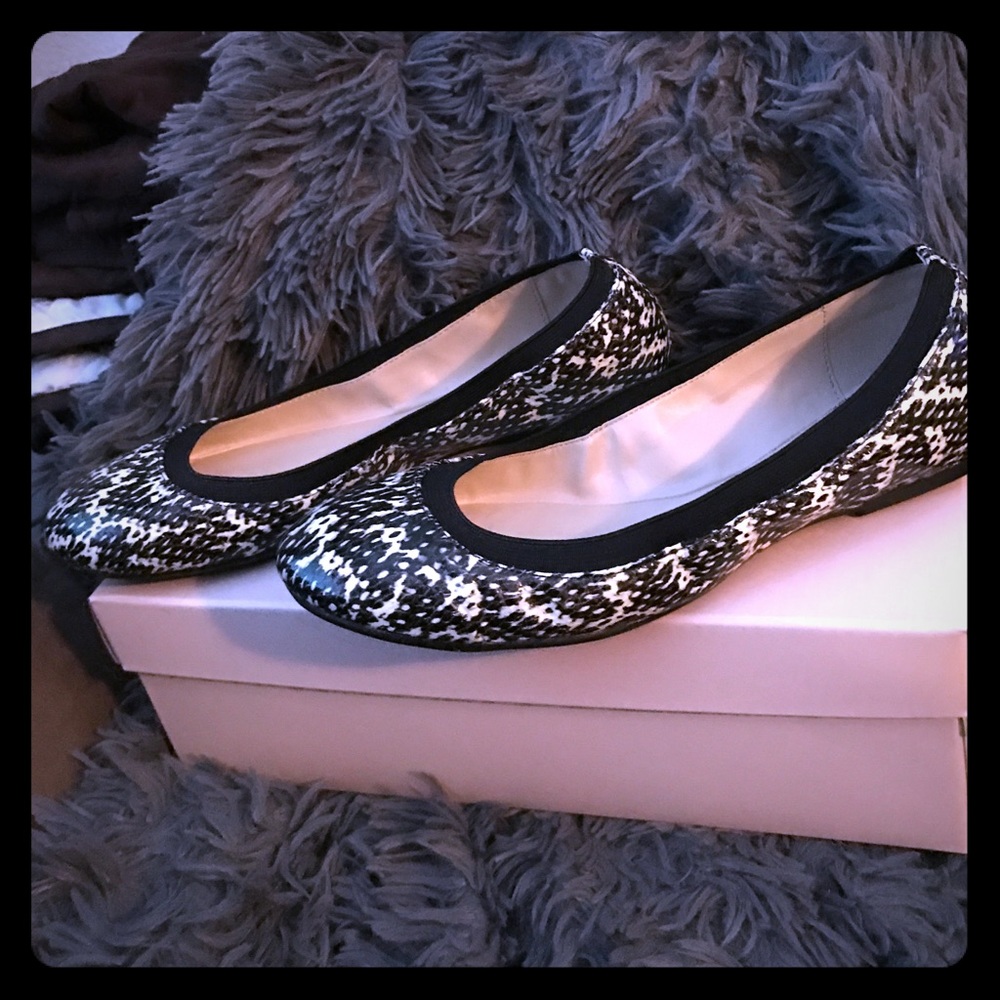 BNIB! BCBG WOMENS SNAKE BLACK FLATS SZ:6.5💙😍CUTE