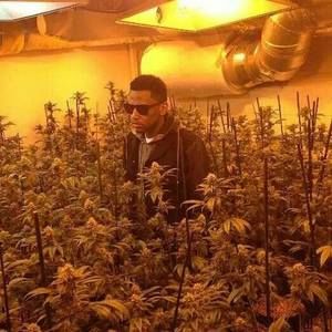 Meet your Posher, Malcolm