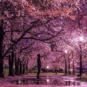 Meet your Posher, Dunya