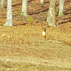 Meet your Posher, Margie