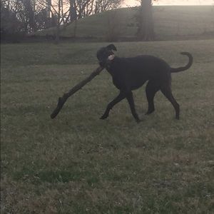 Meet your Posher, Tyler