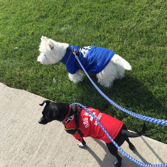 Meet your Posher, Donna - Picture 8 of 8