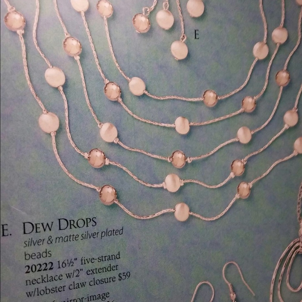 Premier Designs Necklace