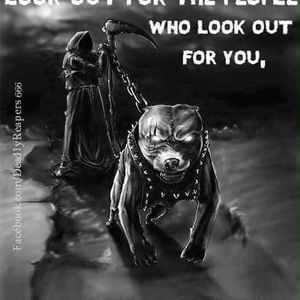 Meet your Posher, Chad