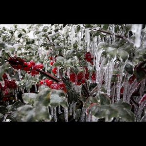 Meet your Posher, Belinda