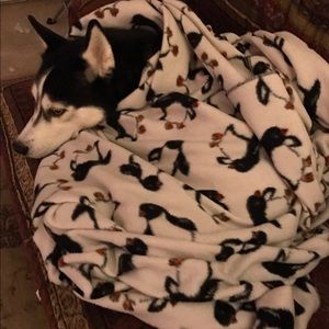 Meet your Posher, Jane