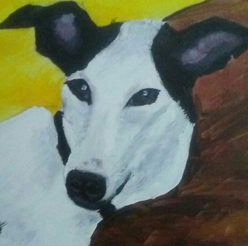 Meet your Posher, Robert