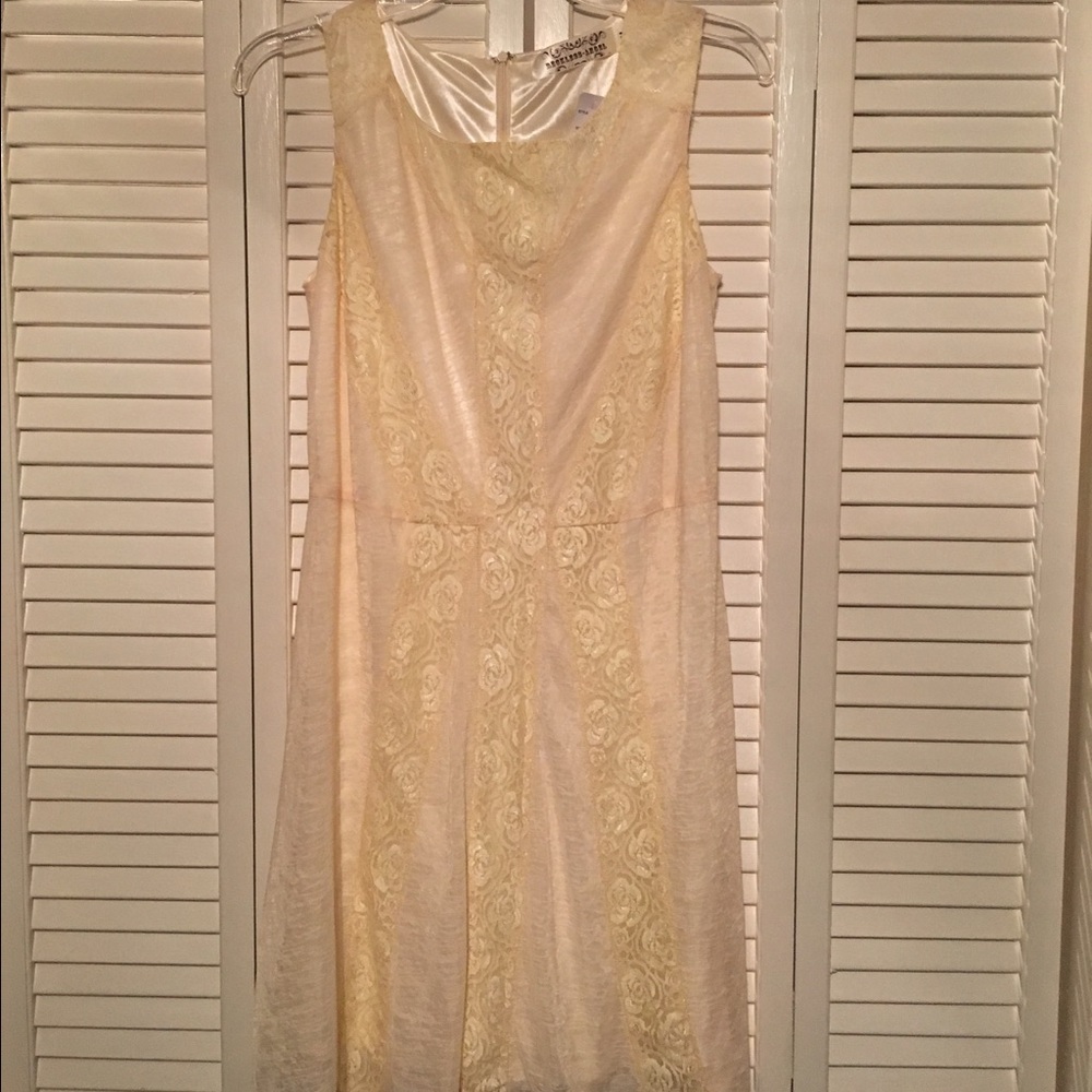 Reckless Angel Lace Dress