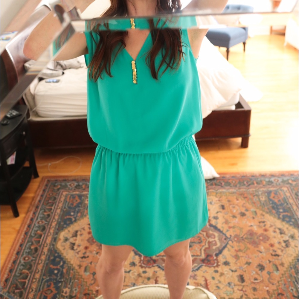 Naked Zebra Turquoise Dress