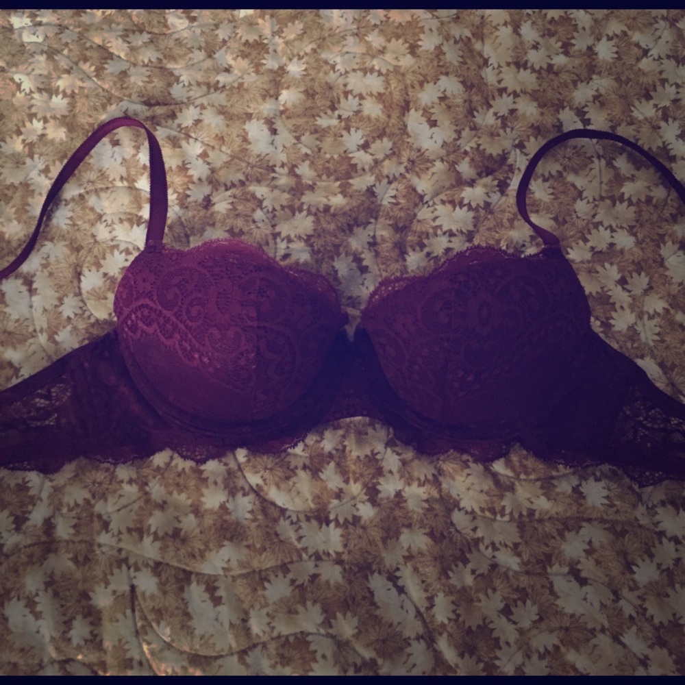 Gilligan & O'Malley's Lace Bra size 34A