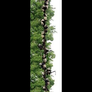 Meet your Posher, Arlette