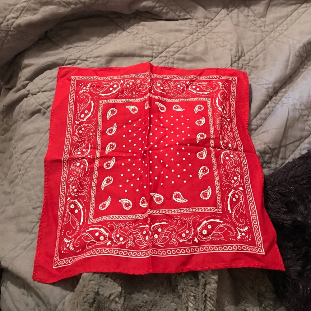 Bandana-style pocket square, never used/worn