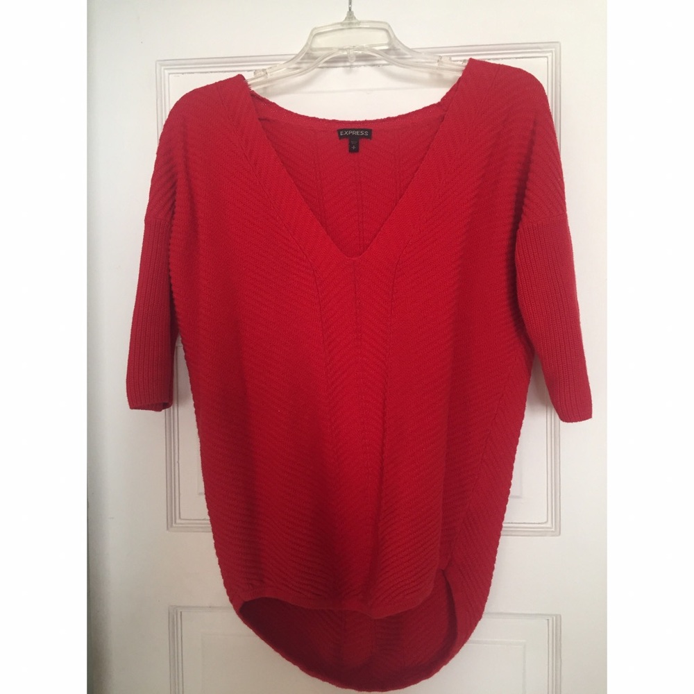 Express v-neck sweater