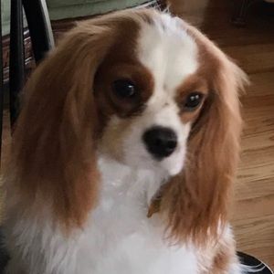 Meet your Posher, Rhonda