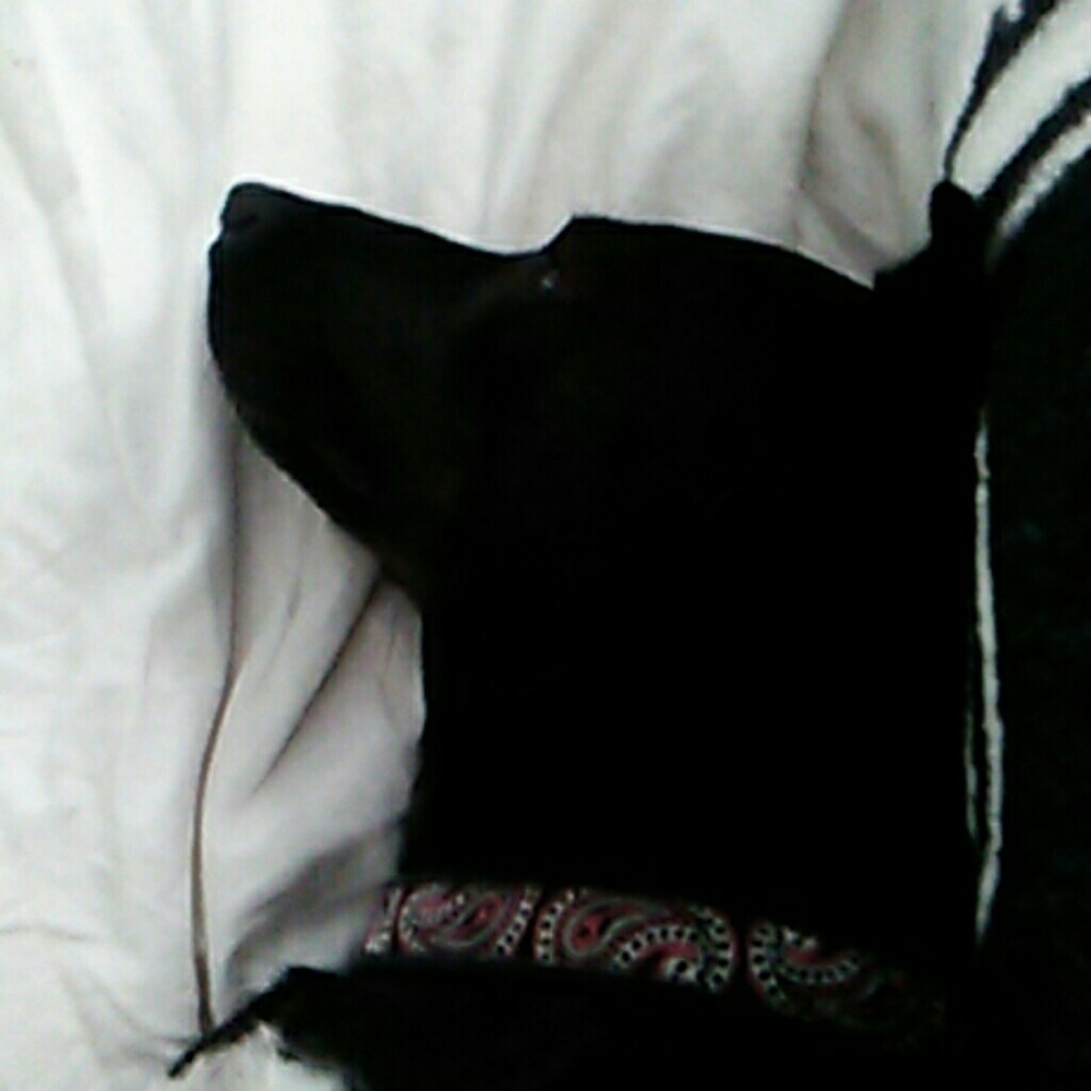 Meet your Posher, Sean