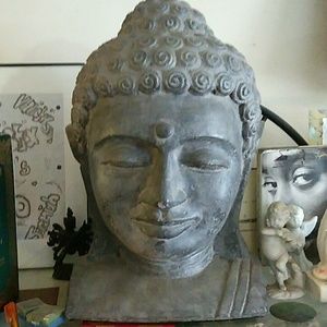 Meet your Posher, Roy