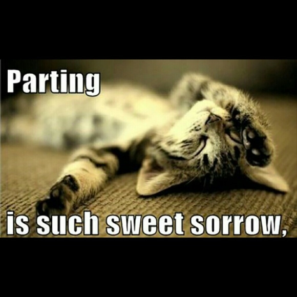 Coming Soon - Items Noted - Picture 2 of 3