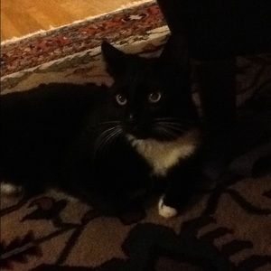 Meet your Posher, Adrian