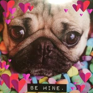 Meet your Posher, Gloglo