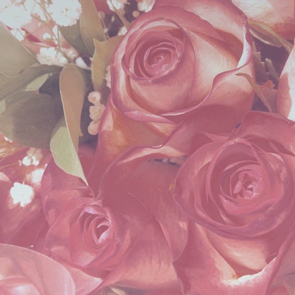 Meet your Posher, Kylie