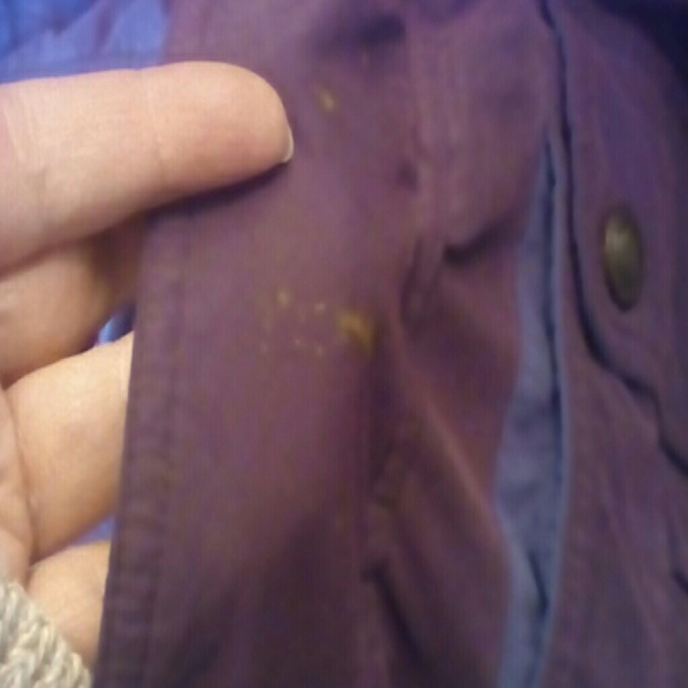 Coat - Picture 3 of 5