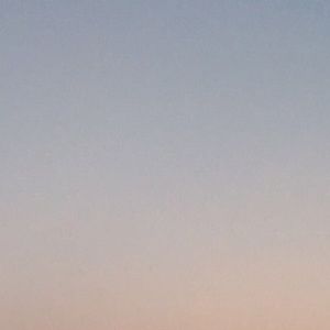 Meet your Posher, Isabella