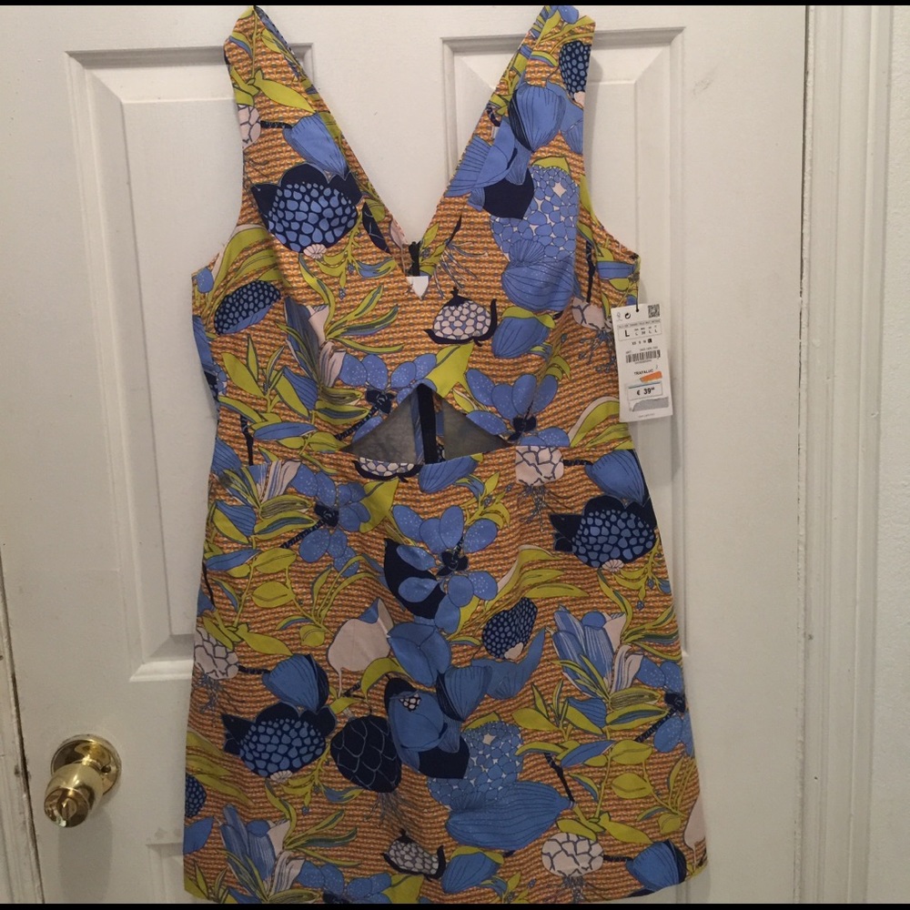 Floral dress by Zara (The Trafaluc Collection)