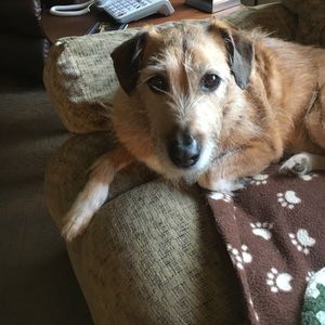 Meet your Posher, Nancy