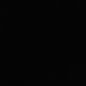 Meet your Posher, Pearl