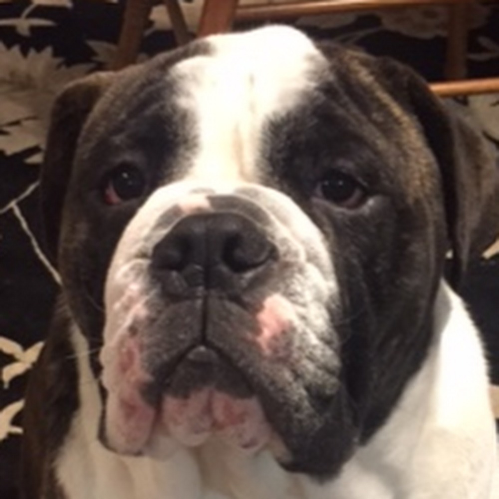 Meet your Posher, Kate