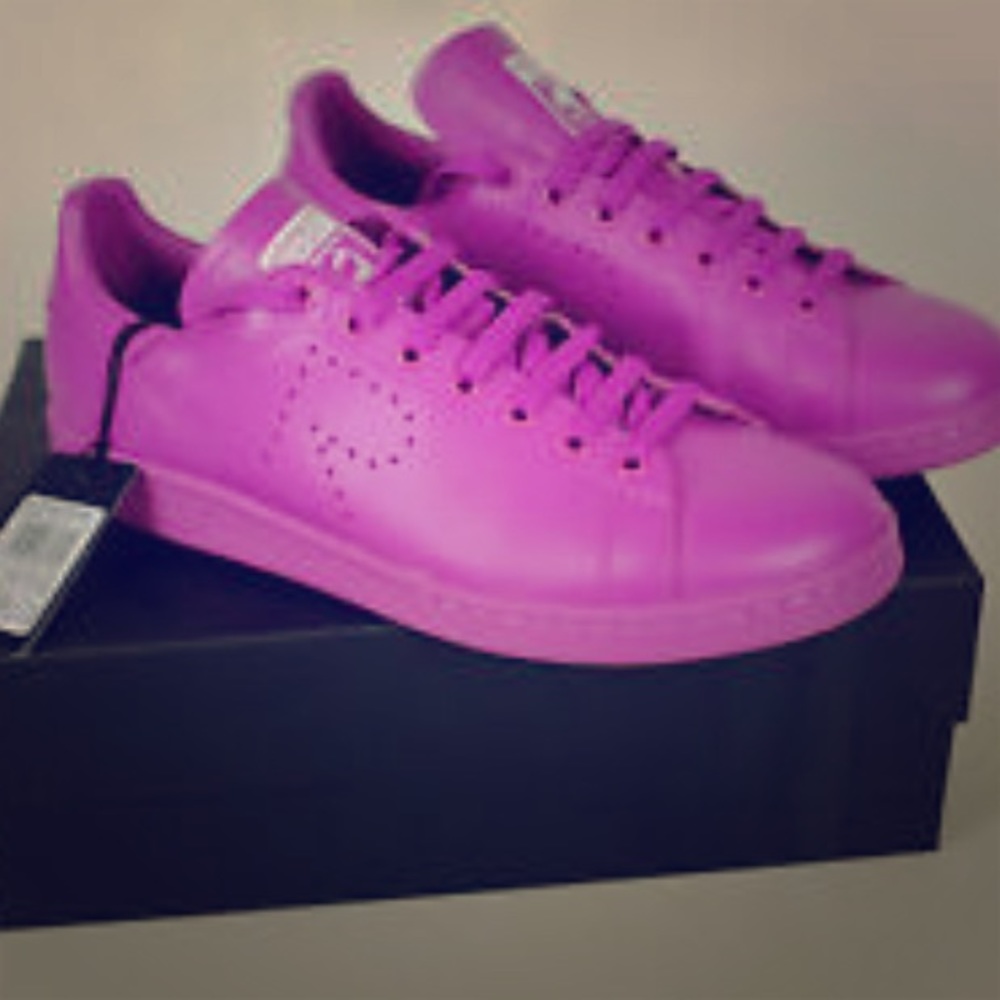Adidas Stan smith raf Simons