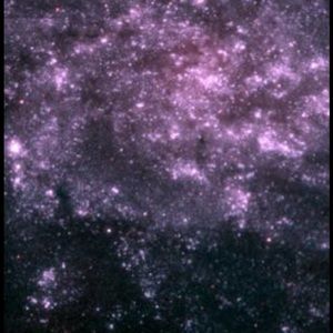 Meet your Posher, Amiyah