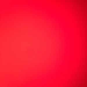 Meet your Posher, Hattie