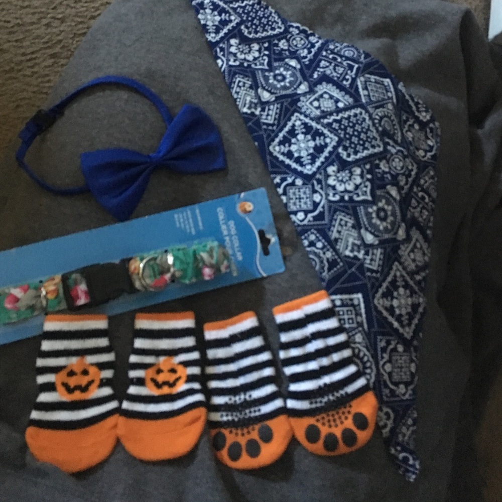 Doggy Bundle