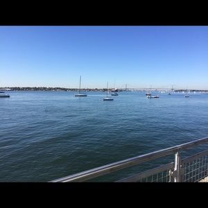 Meet your Posher, Lily